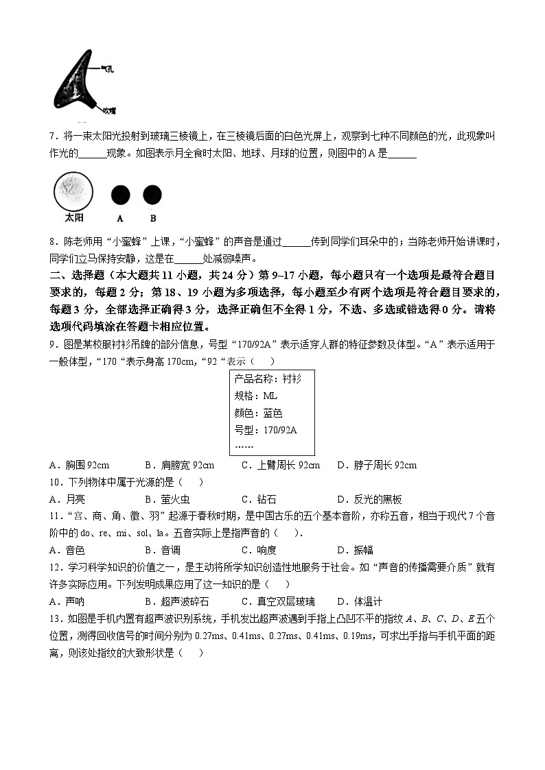 江西省宜春市第八中学2024—2025学年八年级上学期第一次月考物理试题(无答案)第2页