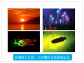 2024人教版八年级物理上册第四章第一节课件《光的直线传播》