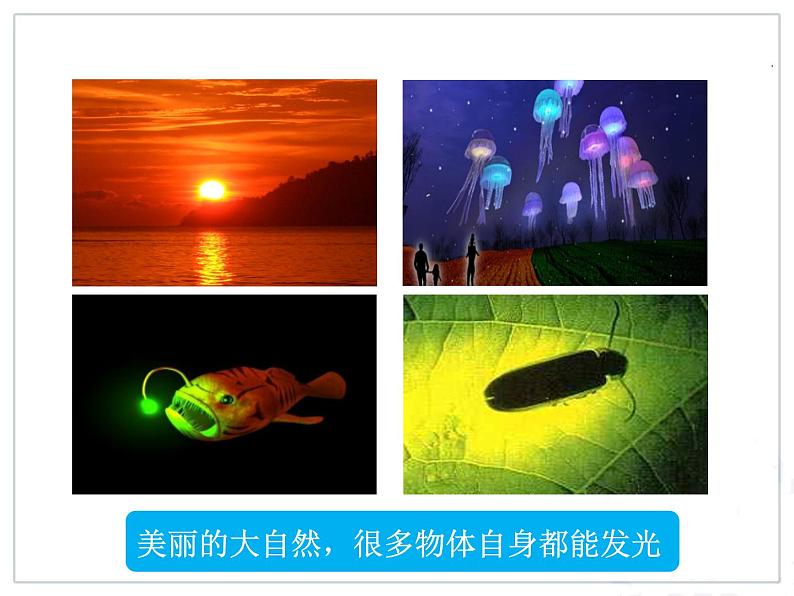 2024人教版八年级物理上册第四章第一节课件《光的直线传播》第5页