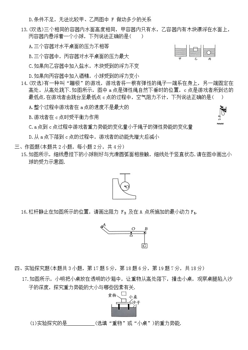 河南省周口市沈丘县中英文等校2023-2024学年八年级下学期6月期末物理试题第3页
