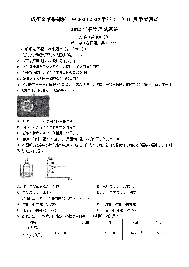 四川省成都金苹果锦城第一中学2024-2025学年九年级上学期10月考物理试卷第1页