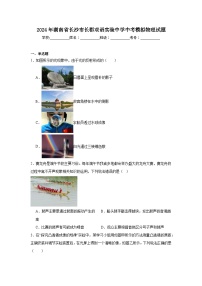 2024年湖南省长沙市长郡双语实验中学中考模拟物理试题