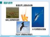 2 第二节  快与慢-2024-2025学年沪科版八年级物理上册 PPT课件