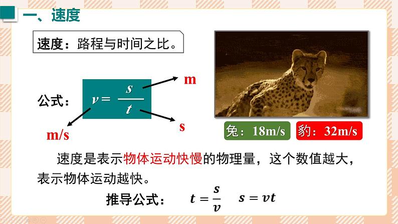 2024-2025学年人教版版八年级物理上册  第3节 运动的快慢  PPT课件第7页