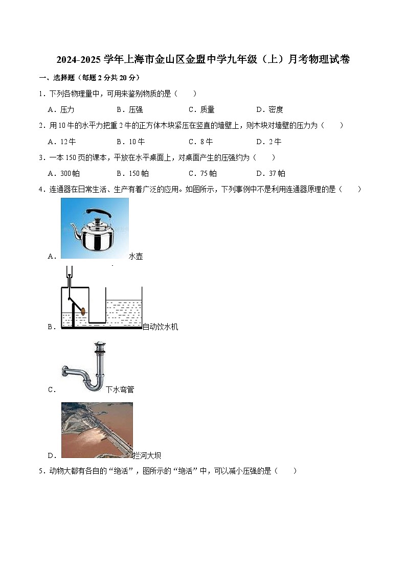 上海市民办金盟学校2024-2025学年九年级上学期月考物理试卷第1页