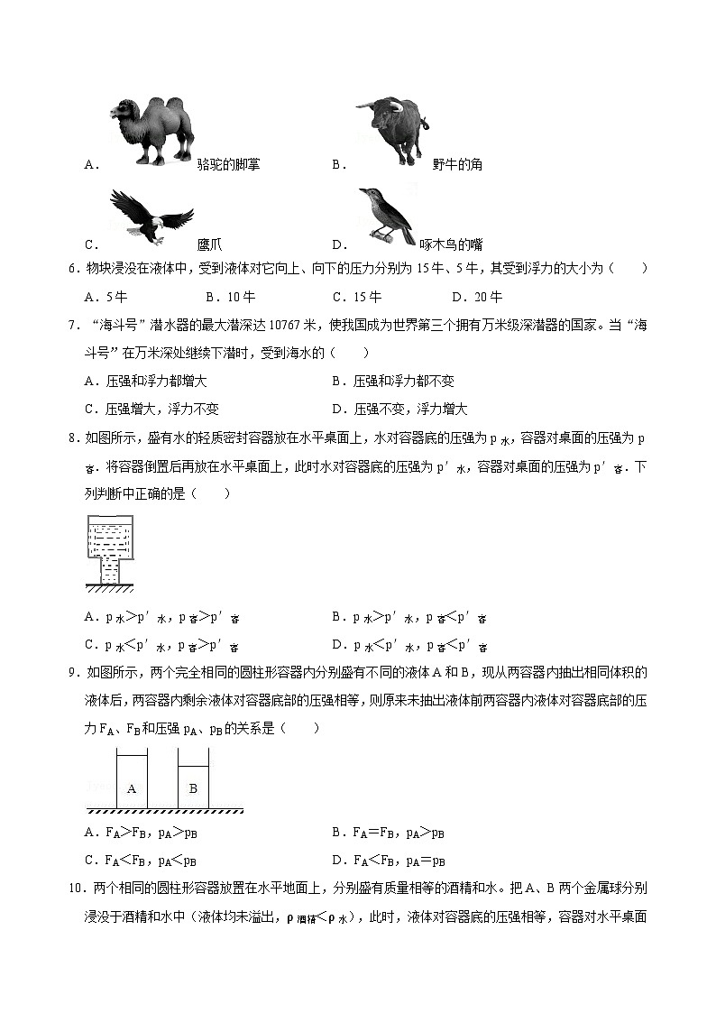 上海市民办金盟学校2024-2025学年九年级上学期月考物理试卷第2页