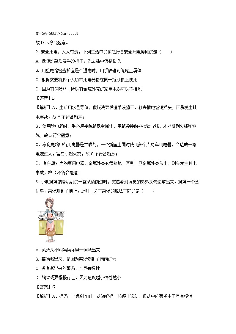 [物理][一模]四川省泸州市龙马潭区2024年中考试题(解析版)02