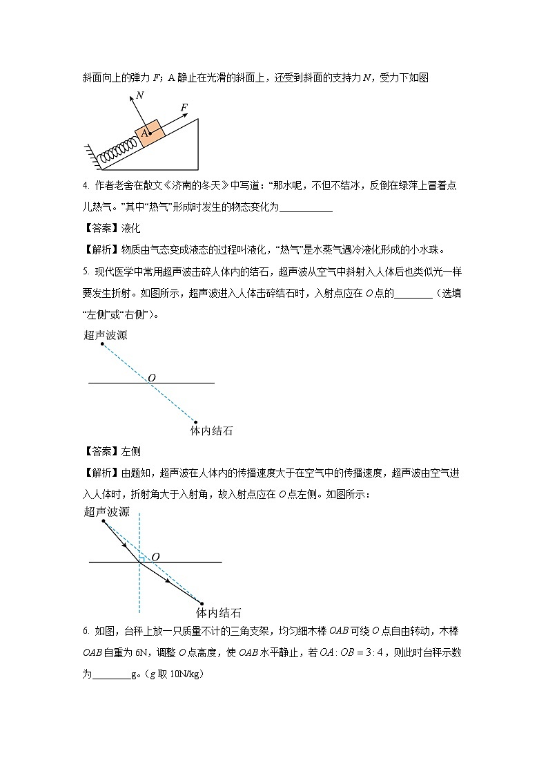 [物理][一模]安徽省滁州市天长市2024年中考试题(解析版)第2页