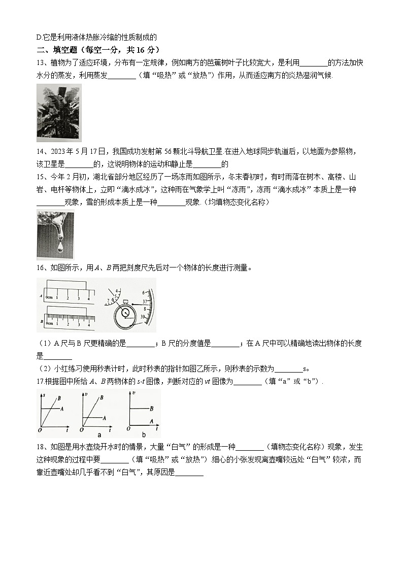 湖北省恩施市龙凤镇民族初级中学2024-2025学年八年级上学期期中考试物理试卷第3页