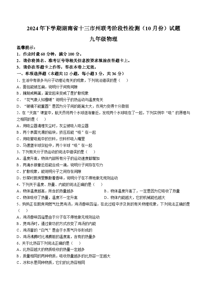 湖南省十三市州联考2024-2025学年九年级上学期阶段性检测物理试卷（10月）第1页