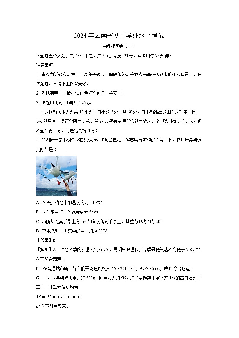 云南省楚雄彝族自治州楚雄市2024年中考二模物理试题（解析版）第1页
