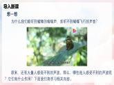 2.3 超声波与次声波—初中物理八年级全一册 同步教学课件+教学设计+同步练习（沪科版2024）