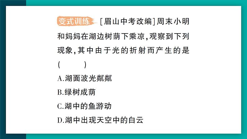 【新课标】物理【人教版】八年级上册（2024）【课件+教案+作业课件】第四章 光现象（第4节 光的折射）（含视频）05