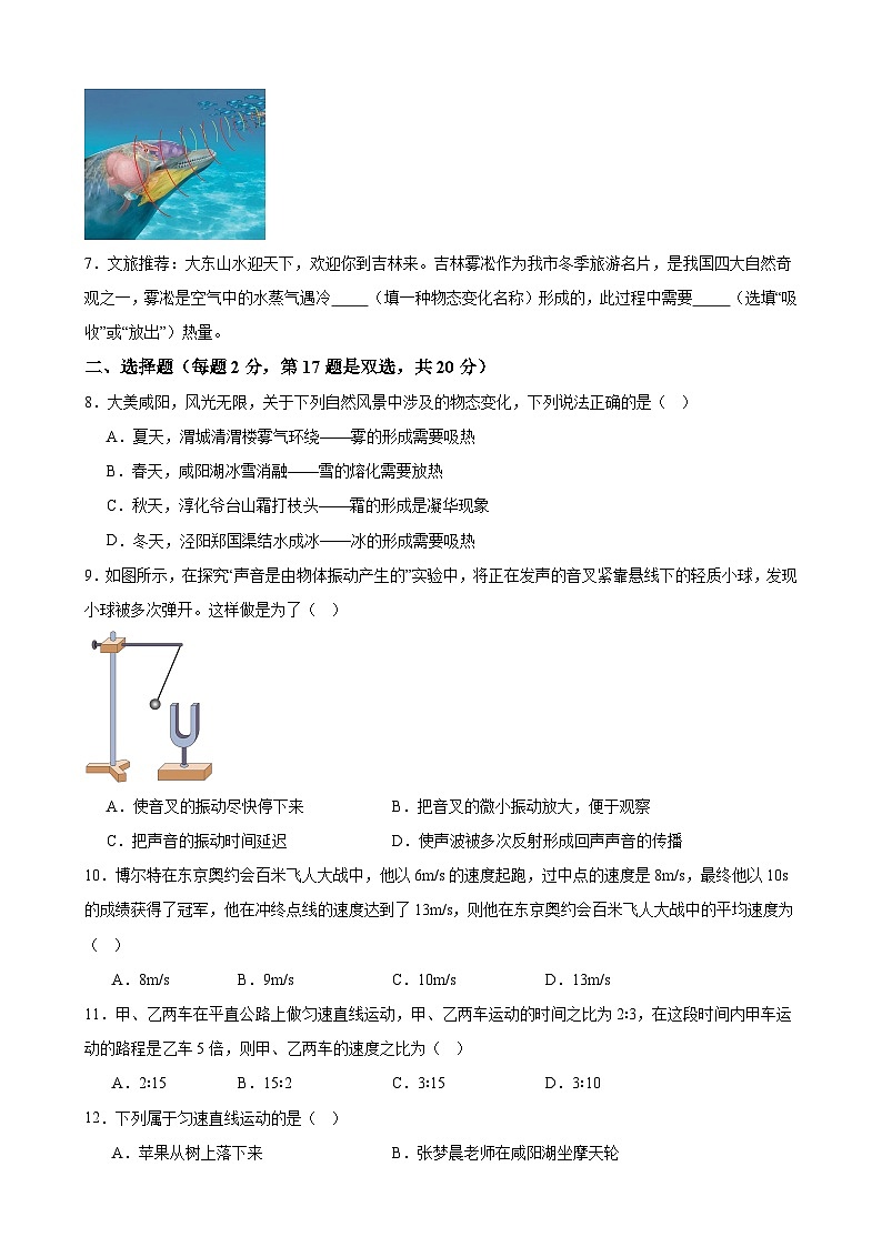 河南省周口市第三初级中学2024-2025学年八年级上学期物理期中测试卷02