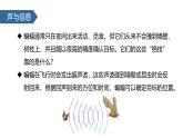 人教版（2024）八年级物理上学期2.3声的利用ppt课件