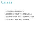新人教版2024~2025学年八年级上册物理3.5《跨学科实践：探索厨房中的物态变化问题》PPT课件