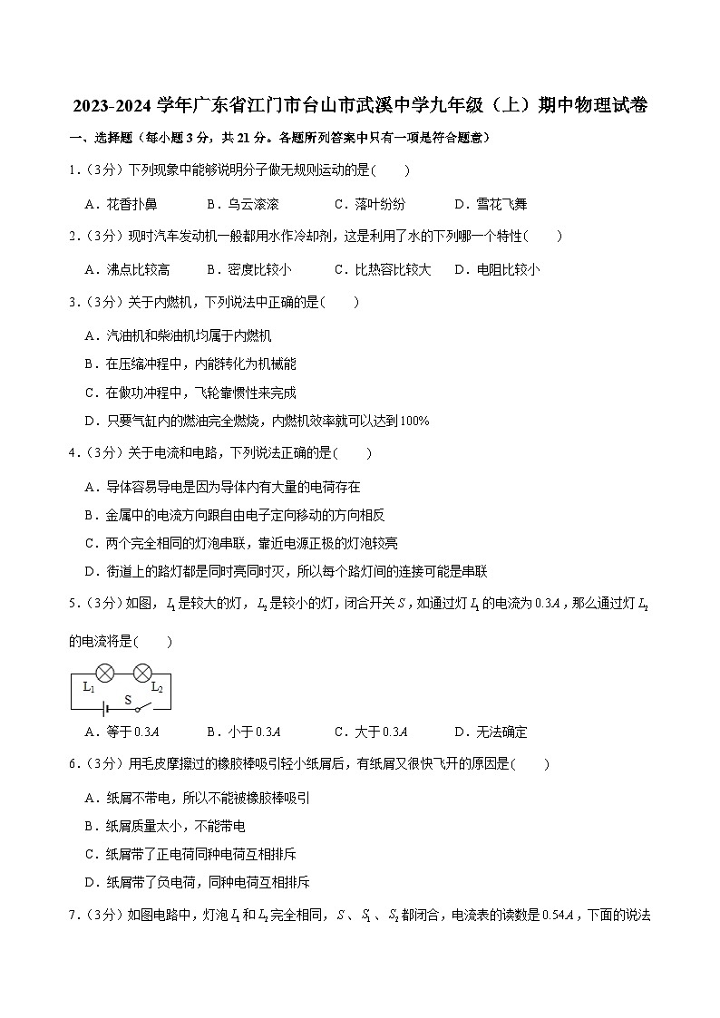 广东省江门市台山市武溪中学2023-2024学年九年级上学期期中物理试题01