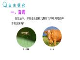 2024-2025學(xué)年人教版物理八年級上學(xué)期2.2《聲音的特性》 PPT課件