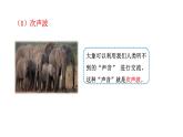 2024-2025學(xué)年人教版物理八年級上學(xué)期2.3《聲的利用》PPT課件