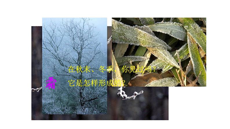 新人教版2024~2025学年八年级上册物理3.4《升华和凝华》PPT课件第4页