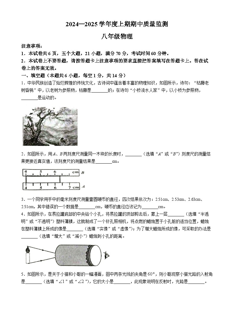 河南省周口市川汇区2024-2025学年八年级上学期期中质量监测物理试卷(无答案)第1页