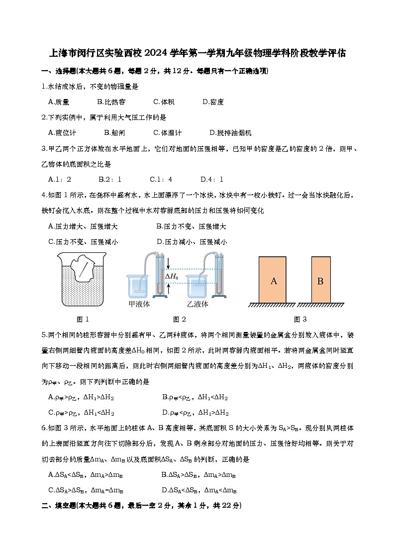 上海市闵行区实验西校2024学年第一学期期中考试初三物理试卷-学生版第1页