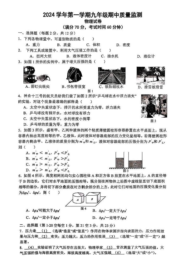上海市杨浦区2024-2025学年上学期九年级物理期中质量监测第1页