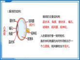 3.4 透镜的应用—初中物理八年级上册 同步教学课件+同步练习（苏科版2024）
