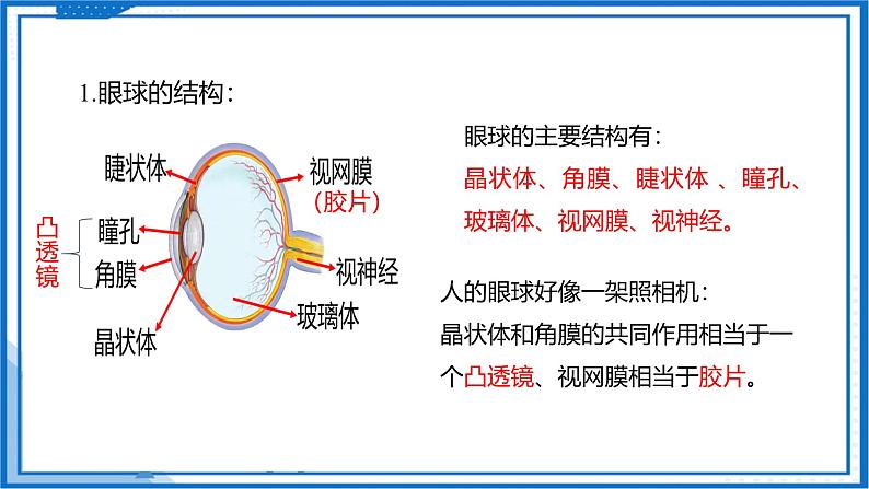 3.4 透镜的应用—初中物理八年级上册 同步教学课件（苏科版2024）第5页