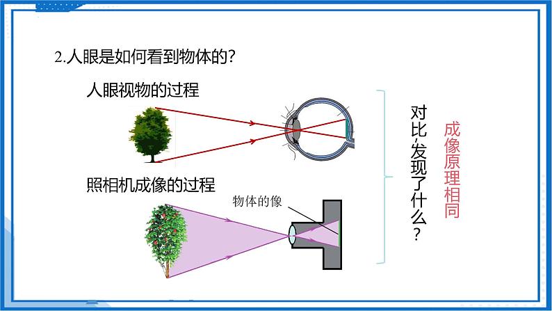 3.4 透镜的应用—初中物理八年级上册 同步教学课件（苏科版2024）第6页