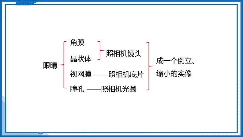 3.4 透镜的应用—初中物理八年级上册 同步教学课件（苏科版2024）第7页