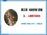 3.5 人眼看不见的光—初中物理八年级上册 同步教学课件+同步练习（苏科版2024）