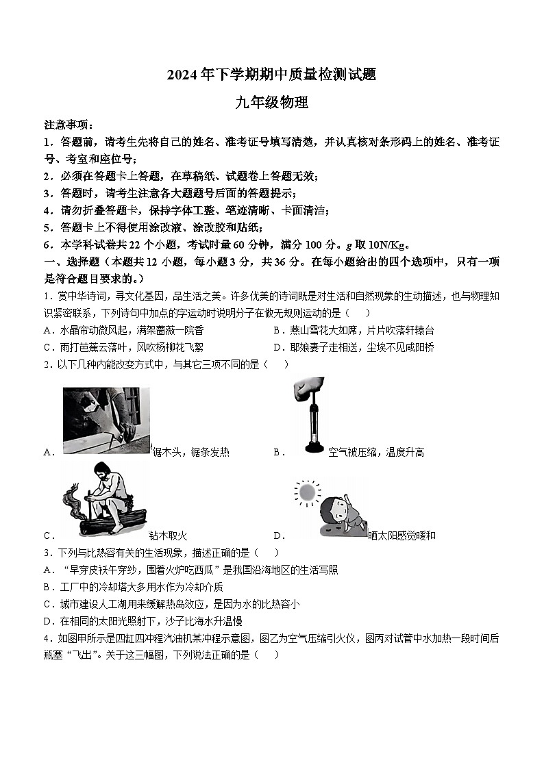 湖南省衡阳市蒸湘区蒸湘区联合考试2024-2025学年九年级上学期11月期中物理试题01