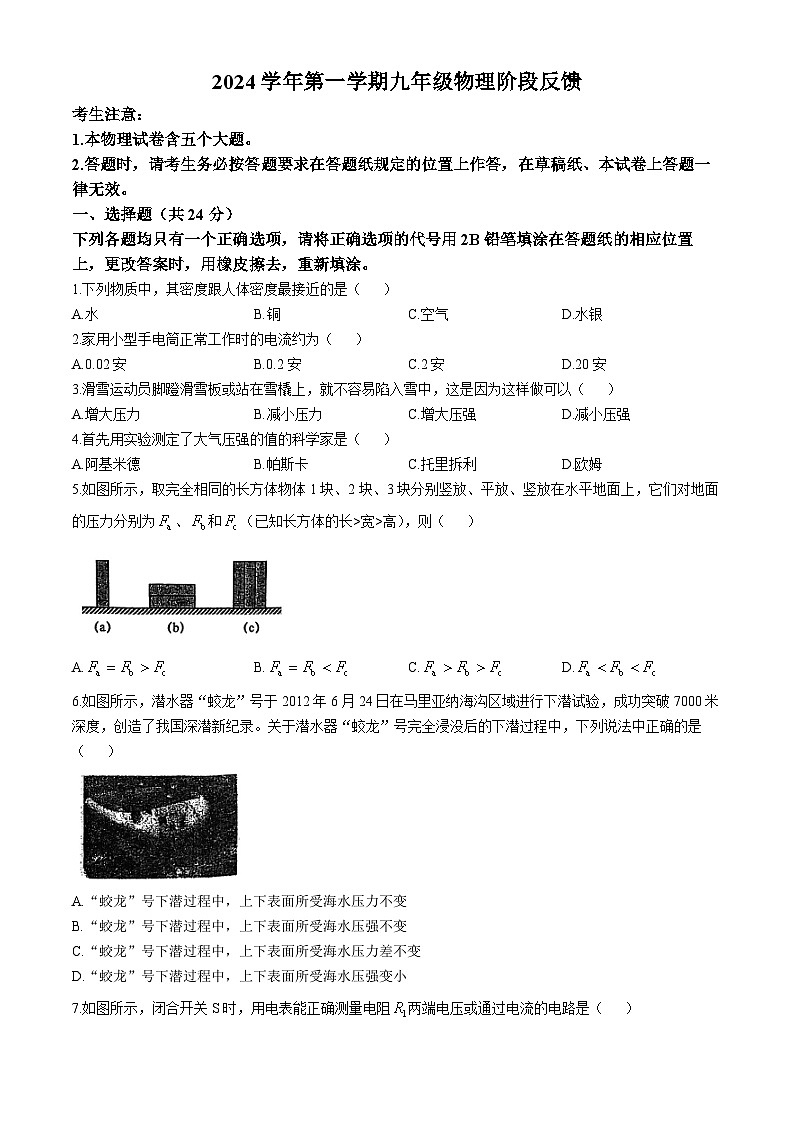 上海市市北初级中学2024-2025学年九年级上学期物理期中考试试卷(无答案)01