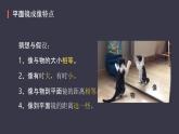 人教版（2024）八年级物理上学期4.3平面镜成像课件