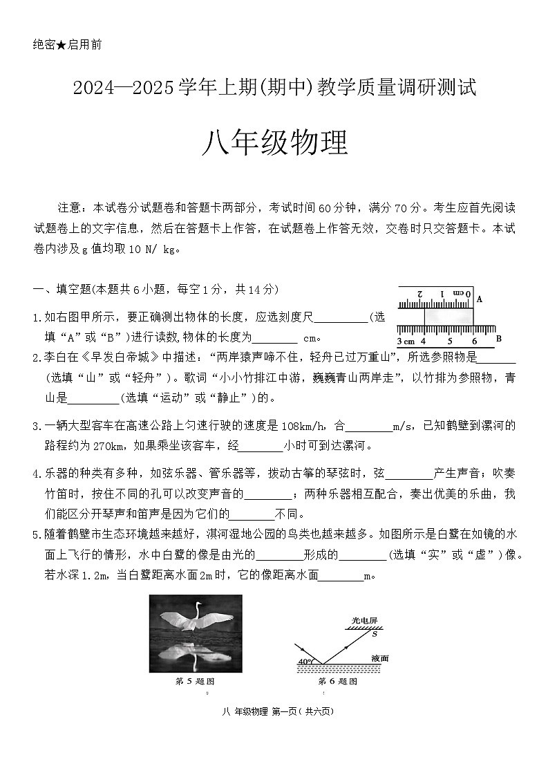 河南省鹤壁市部分学校2024-2025学年八年级上学期11月期中物理试题01