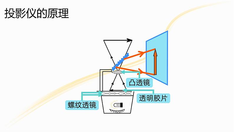 人教版（2024）八年级物理上学期5.2生活中的透镜课件08