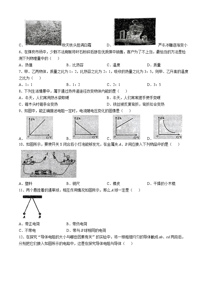 福建省龙岩市新罗区龙岩市第五中学2024-2025学年九年级上学期11月期中物理试题(无答案)第2页