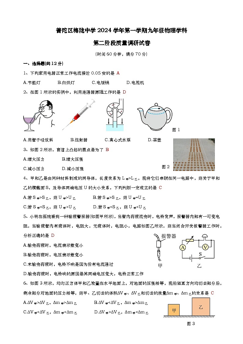2024年普陀区梅陇中学九年级上学期期中物理卷-教师版第1页