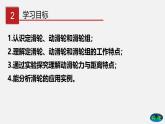 9.2 滑轮（课件）-八年级物理下册（鲁教版）
