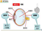 人教版（2024）八年級物理上冊5.4眼睛和眼鏡課件