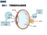 人教版（2024）八年級物理上學(xué)期5.4眼睛和眼鏡ppt課件