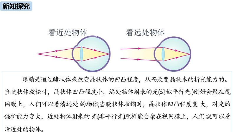 人教版（2024）八年级物理上学期5.4眼睛和眼镜ppt课件08