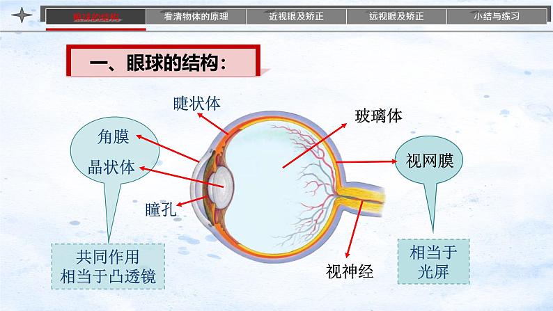 人教版（2024）八年级物理上学期5.4眼睛和眼镜课件03