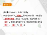 人教版（2024）八上物理5.4眼睛和眼鏡課件