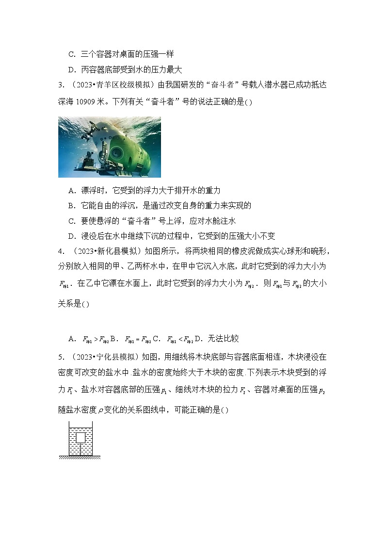 2024年中考物理母题解密专题10 浮力考点精练（附答案）第2页
