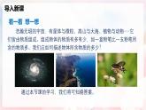 5.1 质量—初中物理八年级全一册 同步教学课件+教学设计+同步练习（沪科版2024）