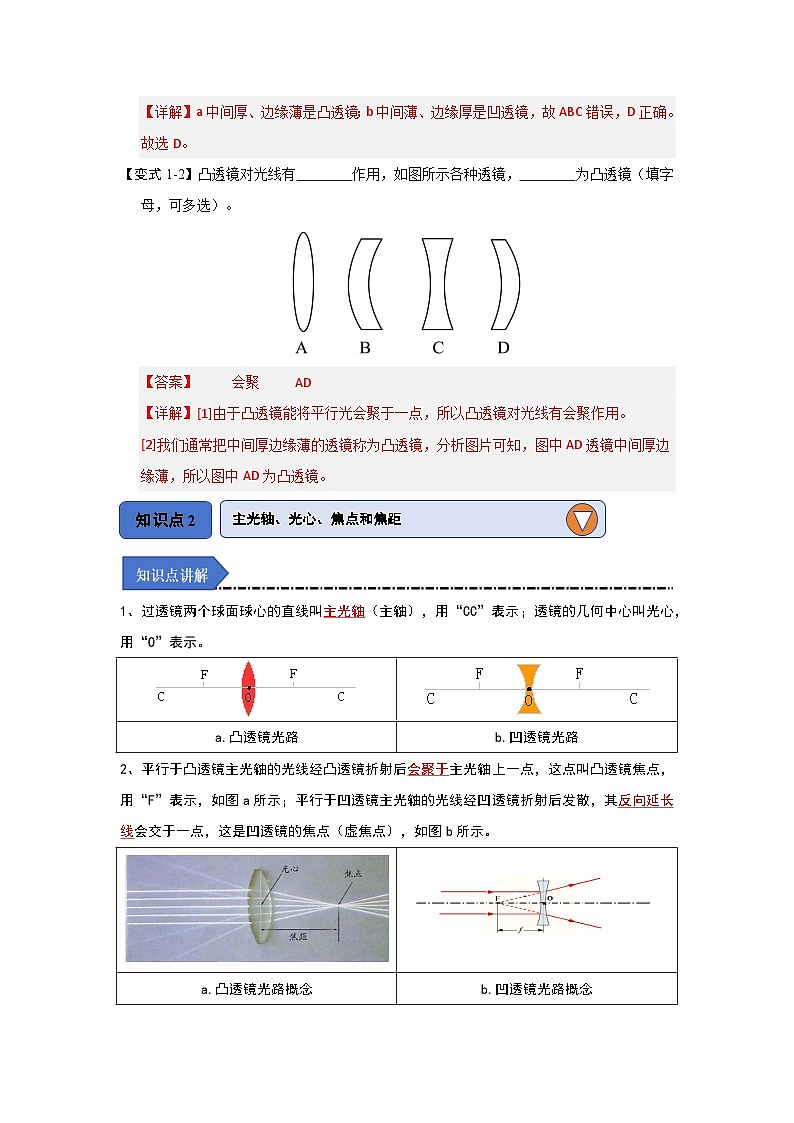 5.1 透镜-初中物理八年级上册 知识点梳理+专项训练（人教版2024）03