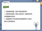 人教版（2024）九年级物理全册20.5磁生电精品ppt课件