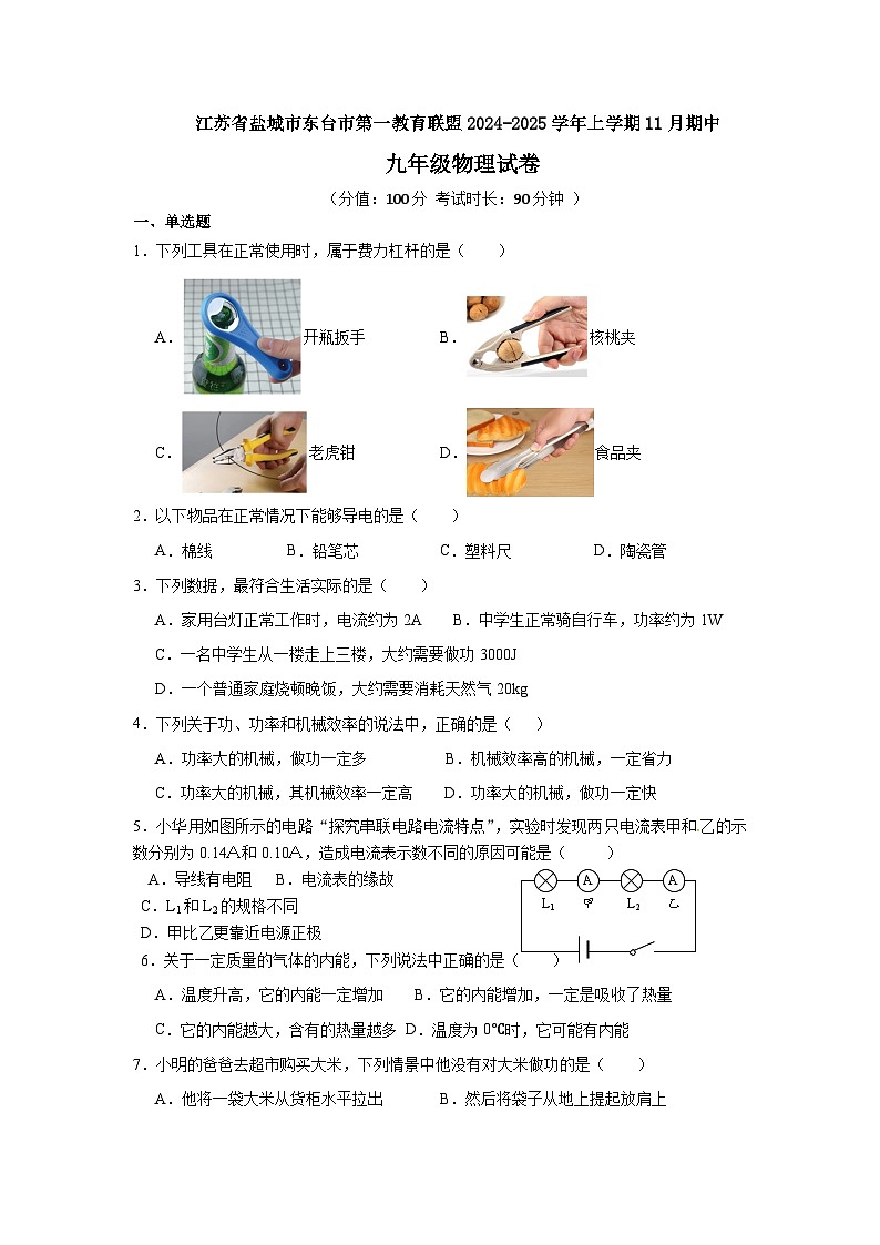 江苏省盐城市东台市第一教育联盟2024-2025学年九年级上学期11月期中物理试题01